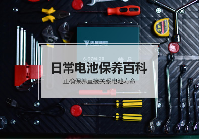 俄罗斯专享会电池
