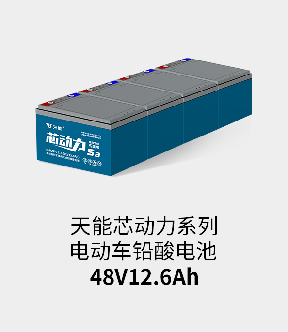俄罗斯专享会电池48v12ah