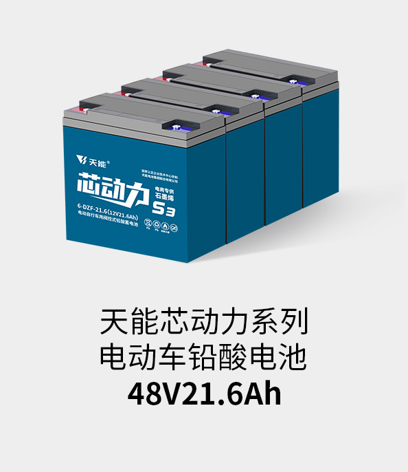 俄罗斯专享会电池48v20ah