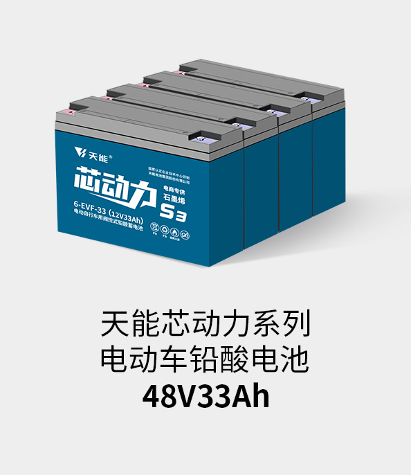 俄罗斯专享会电池48v32ah