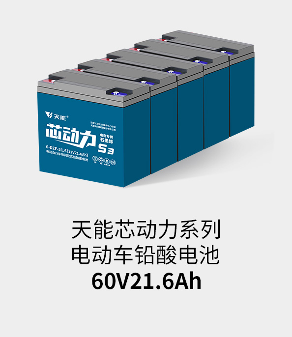 俄罗斯专享会电池60v20ah