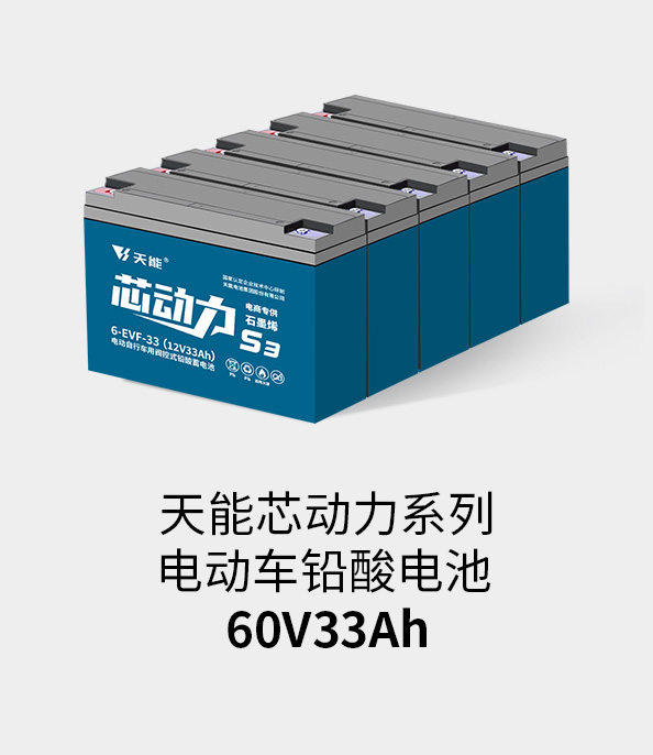 俄罗斯专享会电池60v33ah