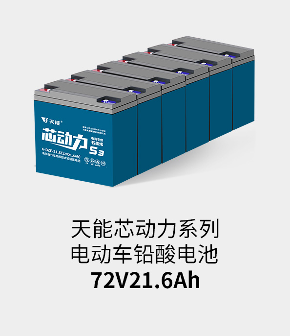 俄罗斯专享会电池72v20ah