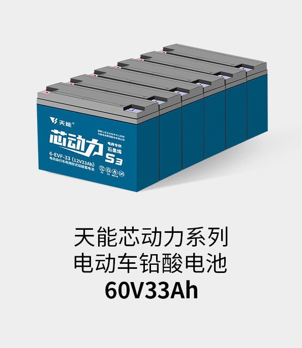 俄罗斯专享会电池72v33ah