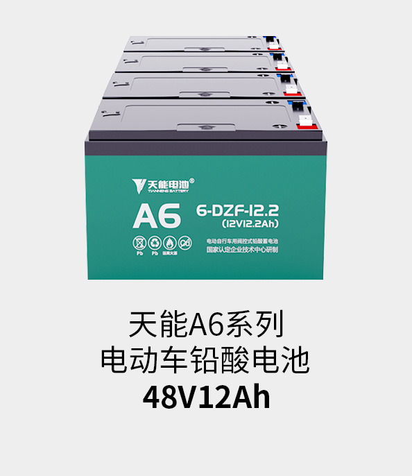 俄罗斯专享会电池48v12ah