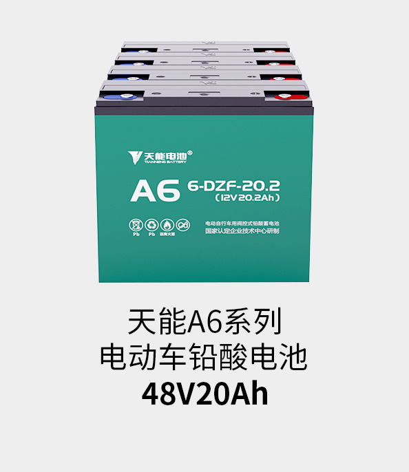 俄罗斯专享会电池48v20ah