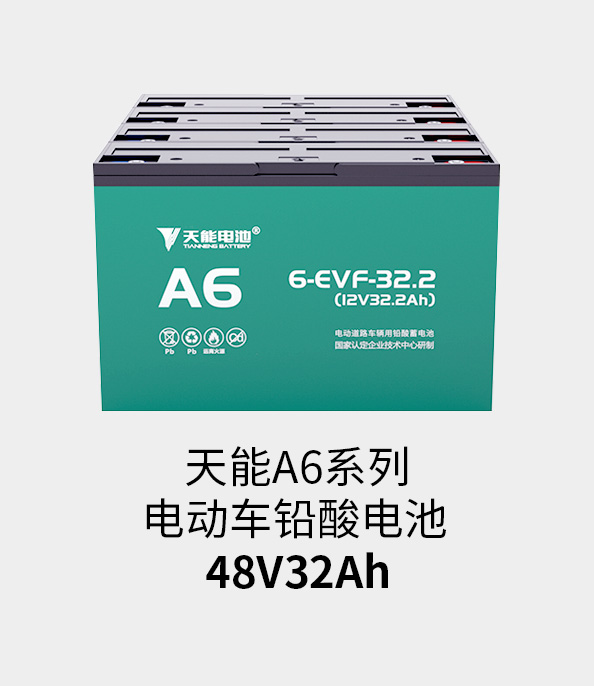 俄罗斯专享会电池48v32ah