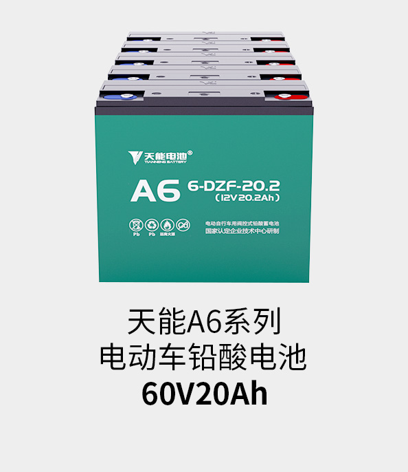 俄罗斯专享会电池60v20ah