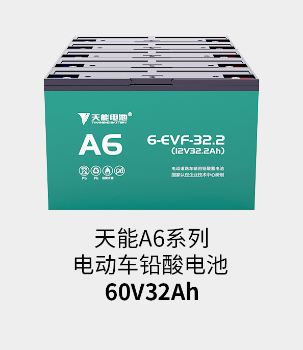 俄罗斯专享会电池60v33ah