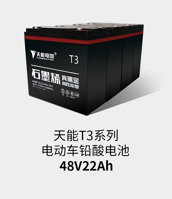 俄罗斯专享会T3系列48v22ah