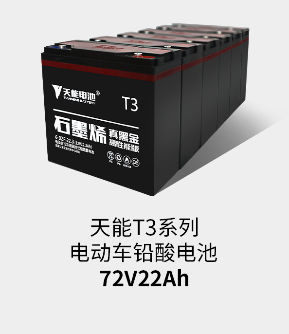 俄罗斯专享会T3系列72v22ah