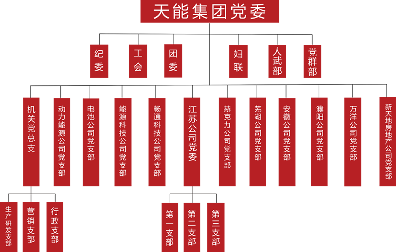 俄罗斯专享会建团党委组织架构