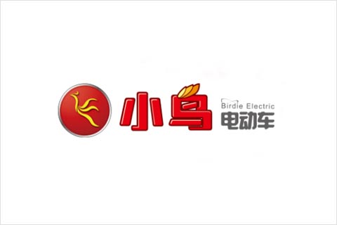 俄罗斯专享会电池合作伙伴 小鸟电动车