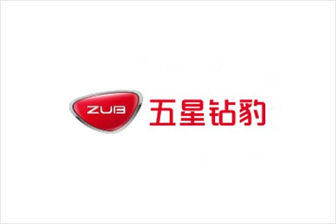 俄罗斯专享会电池合作伙伴 五星钻豹电动车